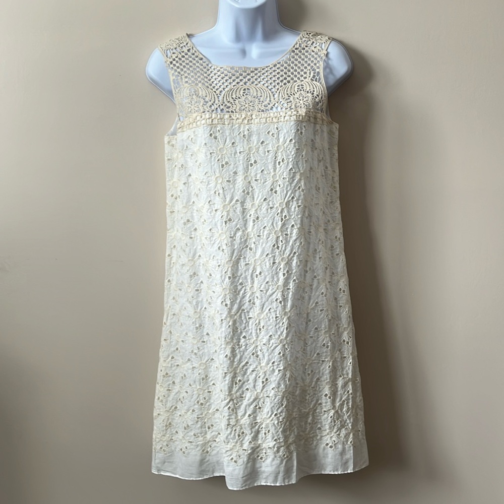 NWT Chelsea & Violet Dress